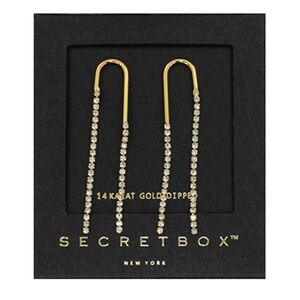 Arch Shape CZ Linear Earrings